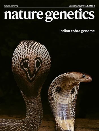 Indian Cobra Genome Decoded